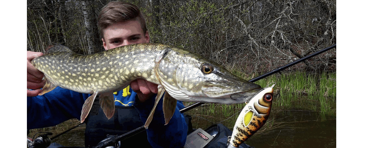 Ouverture du brochet en 2e catégorie