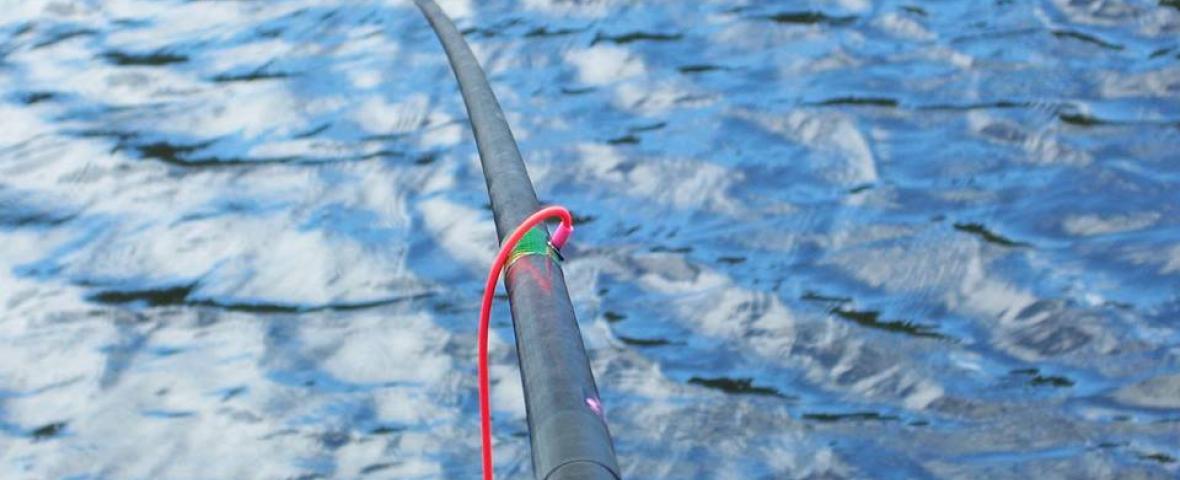 Concours de pêche à l'étang du Chambon