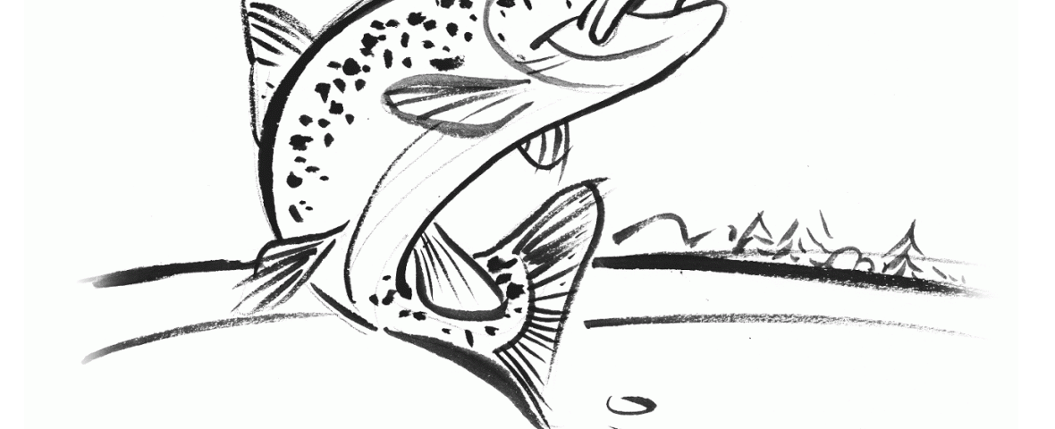 Ouverture de la pêche en première catégorie piscicole et de la truite