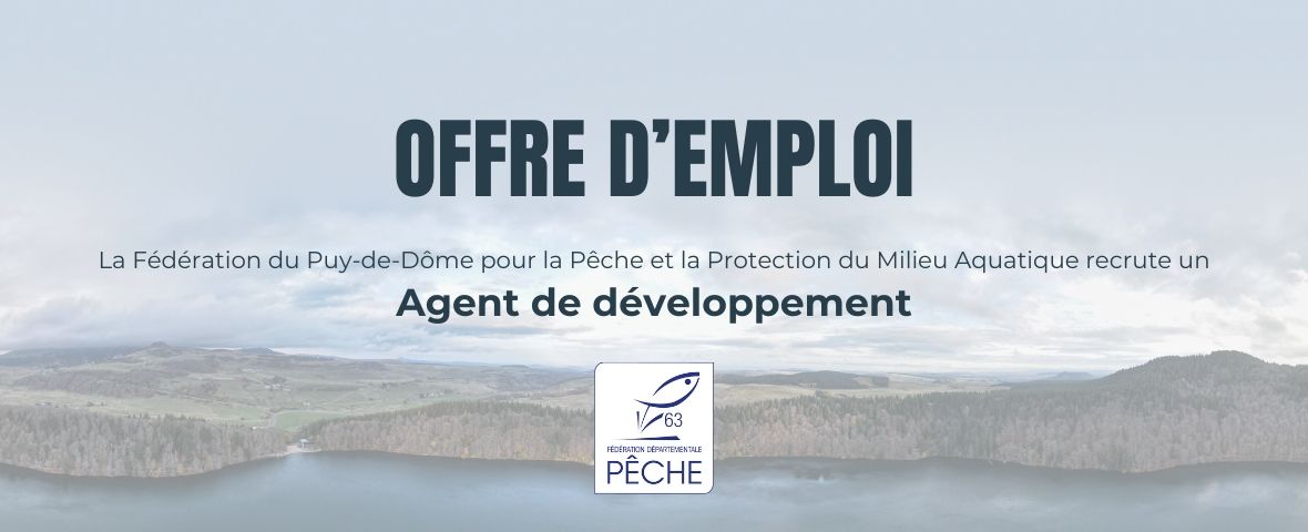 offre d'emploi