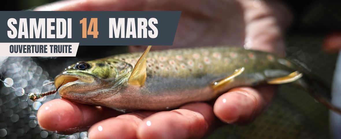 ouverture truite 2026