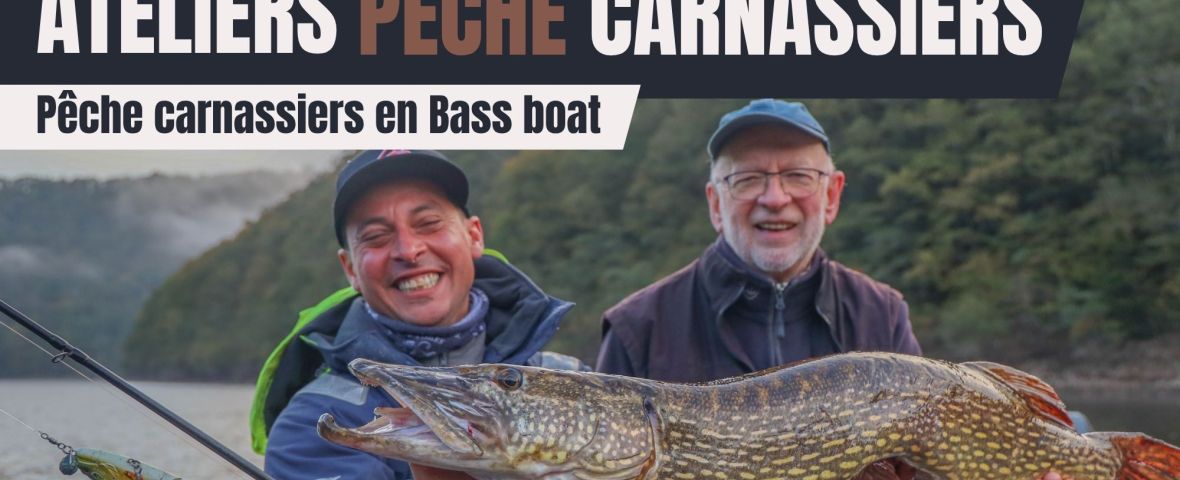 AP BASS BAOT 26