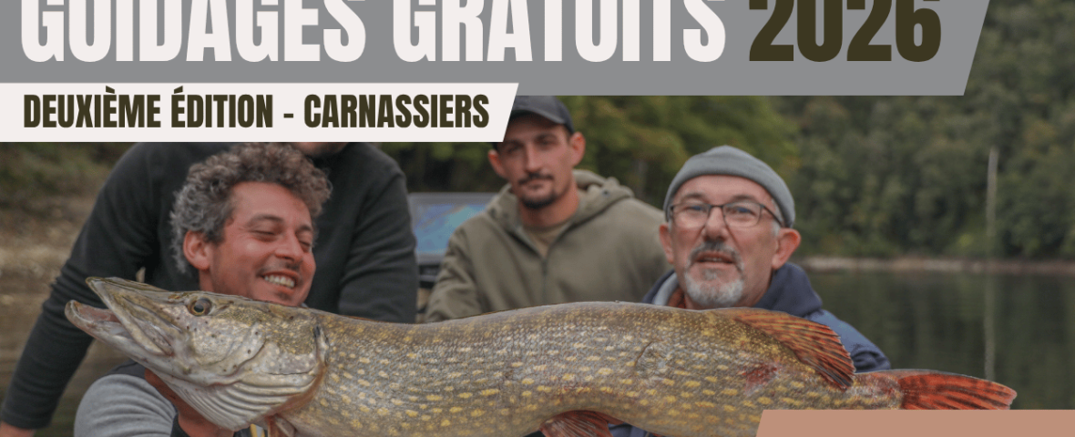 GUIDAGE 2026 carnassiers