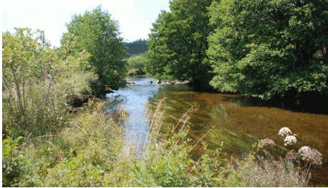 L'Ance à Raffiny