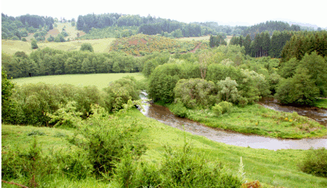 La Dordogne en amont des gorges d'Avèze