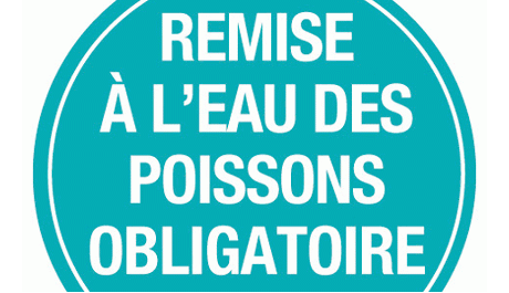 Lac des Hermines - PNK