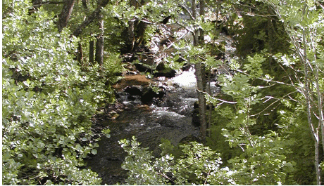 La Rhue sous les grandes cascades d'Entraigues
