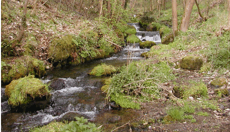 La Tiretaine au pont des Soupirs
