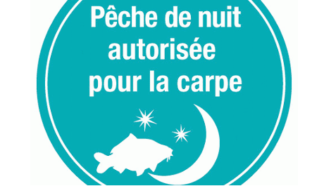 Carpe de nuit - Fades - Pont du Bouchet