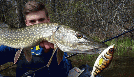 Ouverture du brochet en 2e catégorie