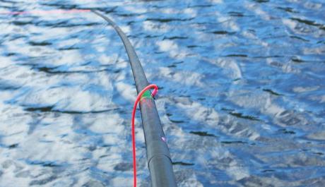 Concours de pêche à l'étang du Chambon