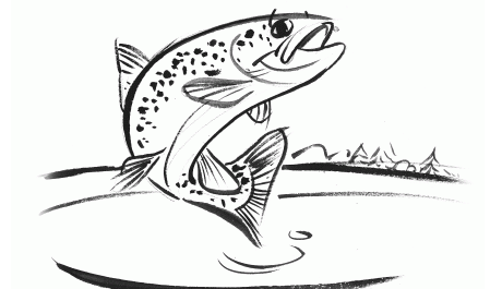 Ouverture de la pêche en première catégorie piscicole et de la truite