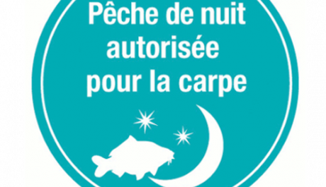 Carpe de nuit - image