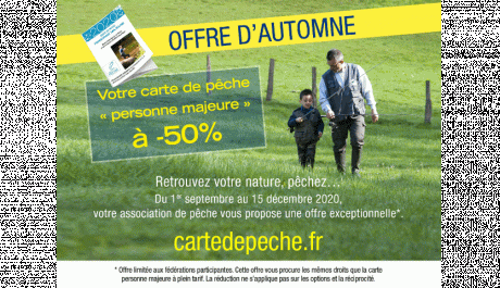 Offre d'automne 2020