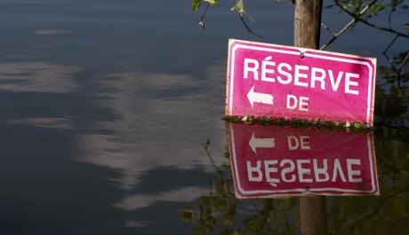 Réserves - image
