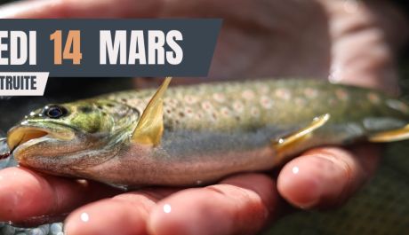 ouverture truite 2026
