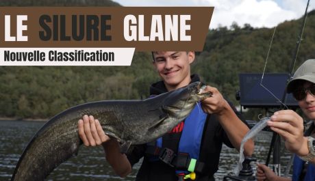 SILURE