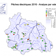 Pêches électriques 2016 (analyse par IPR) 