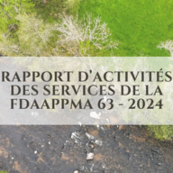 Rapport d'activité des services de la FDPPMA63 2024